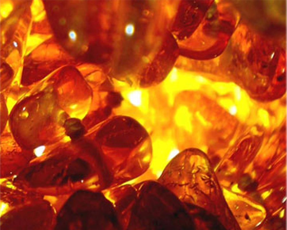 Raw Amber from Ukraine