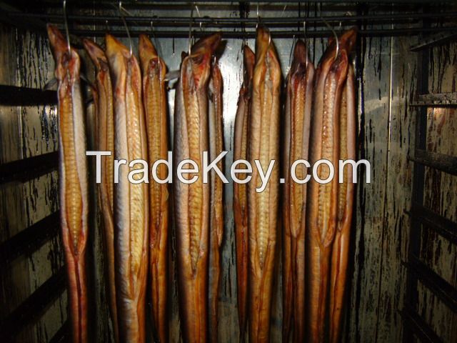 Smoked Eel