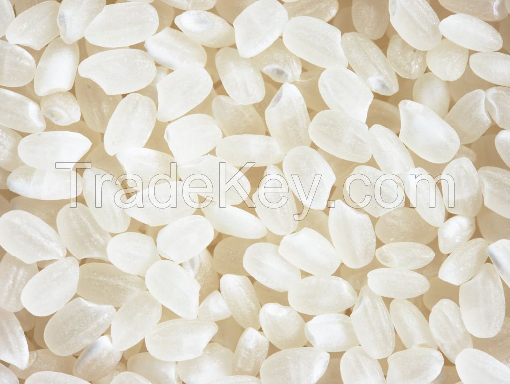 White Japonica rice