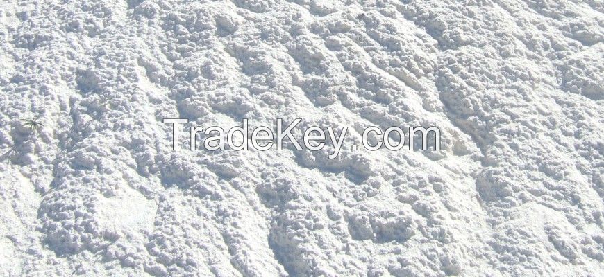 GYPSUM POWDER