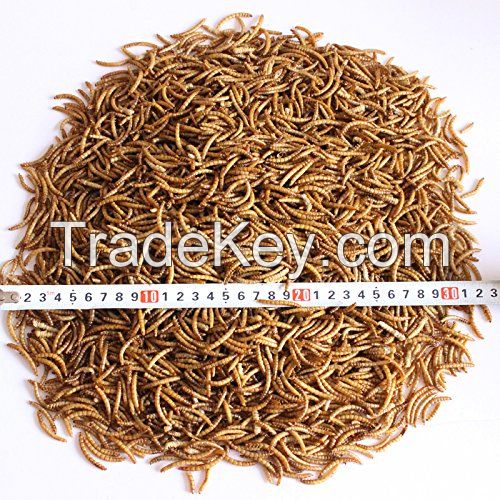 Dried Mealworms-22Lbs