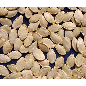 pumpkin  seeds