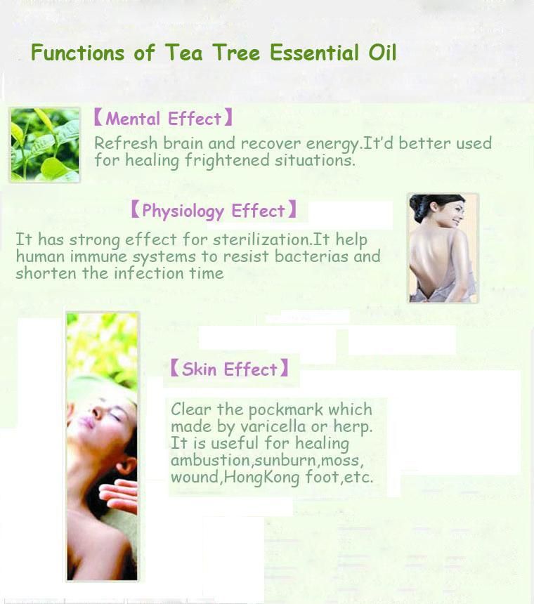 Green Plant Tea Tree Essential Oil Acne Killer Skin Care