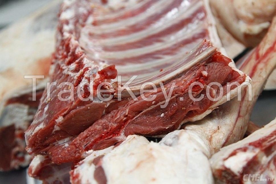 halal chilled lamb meat