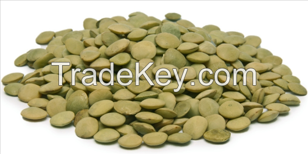 Green Lentils HPS Quality Dry Green / Red Lentils