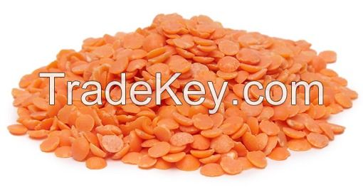 High Quality Dried Green Lentils