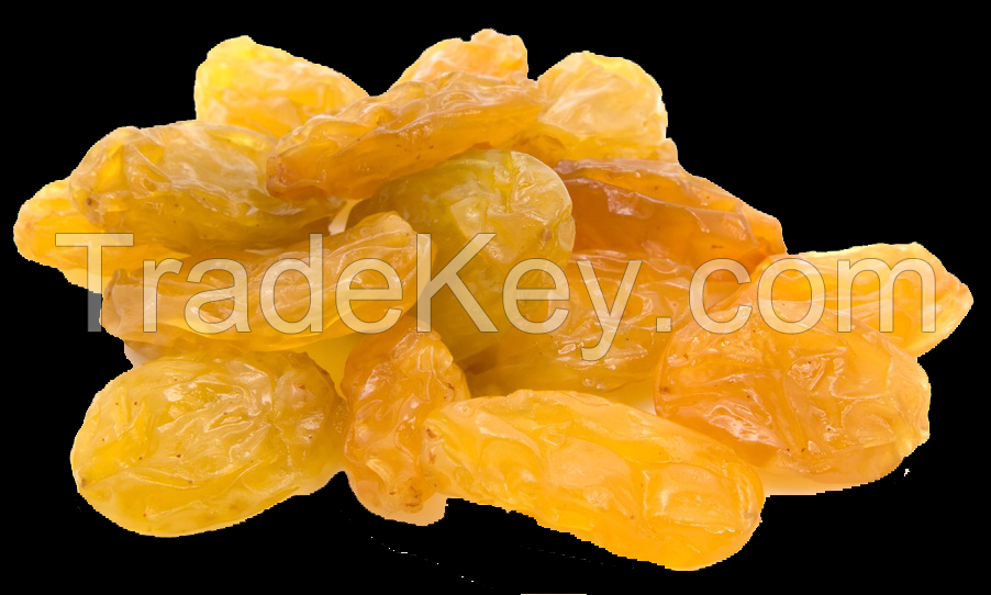 Dried Golden Raisins