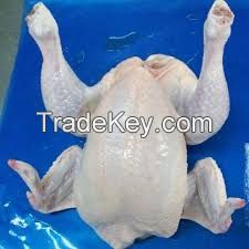 Halal certified Chicken and chicken parts