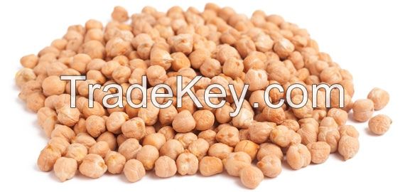 Chick Peas 40 / 42 for Spain