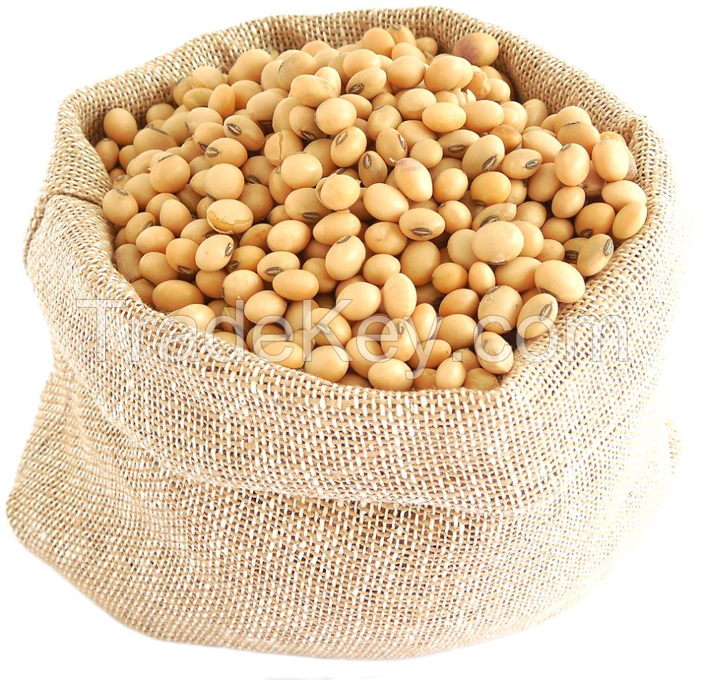 High Quality Soybean