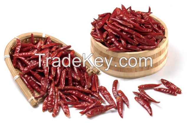 Dried hot chilli