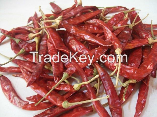 Dried hot chilli