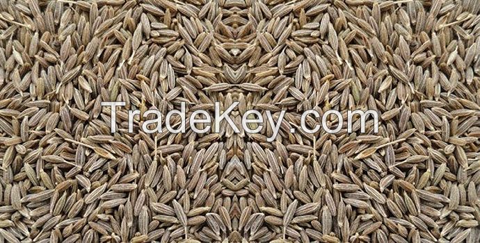 Pale Green Cumin Seeds