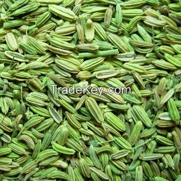 Pure Fennel Seeds