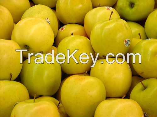 Golden Delicious Apple