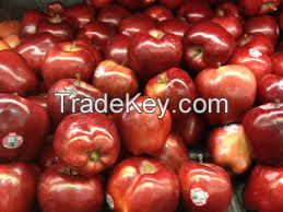 Fresh Top Red apple