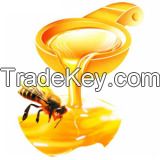 Pure Natural Honey Honey