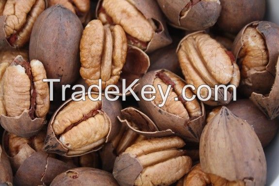 Organic Pecan nut in shell for cheap price