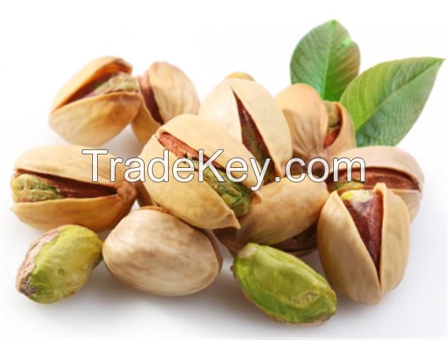 Pistachio nuts factory price