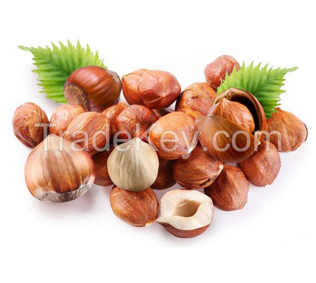 Raw Hazelnuts Kernels in Shell, Organic Hazelnuts, Blanched Hazelnuts.