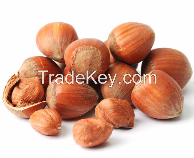 100% Hazelnuts