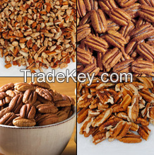 Organic Pecan nut in shell for cheap price