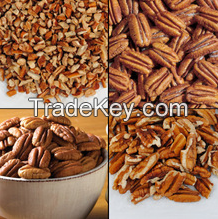 Top Quality Pecan Nuts For Sale