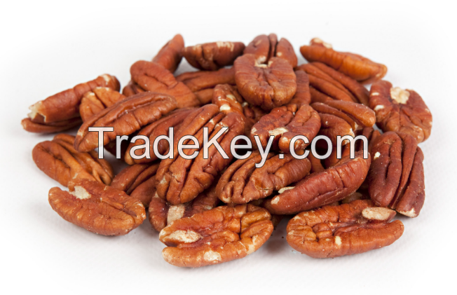 Top Quality Pecan Nuts For Sale