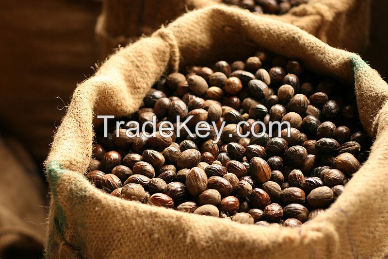 Macadamia Nut, Raw Macadamia Nuts, Roasted and salted Macadamia Nuts for sale