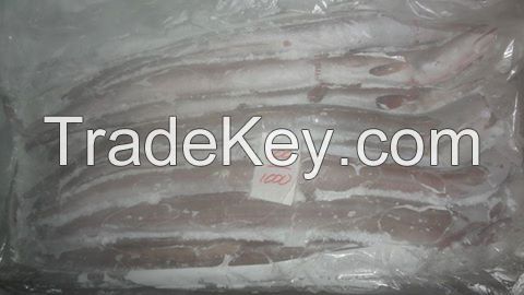 Frozen whole ribbon fish