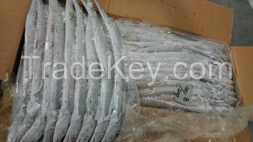 Frozen whole ribbon fish