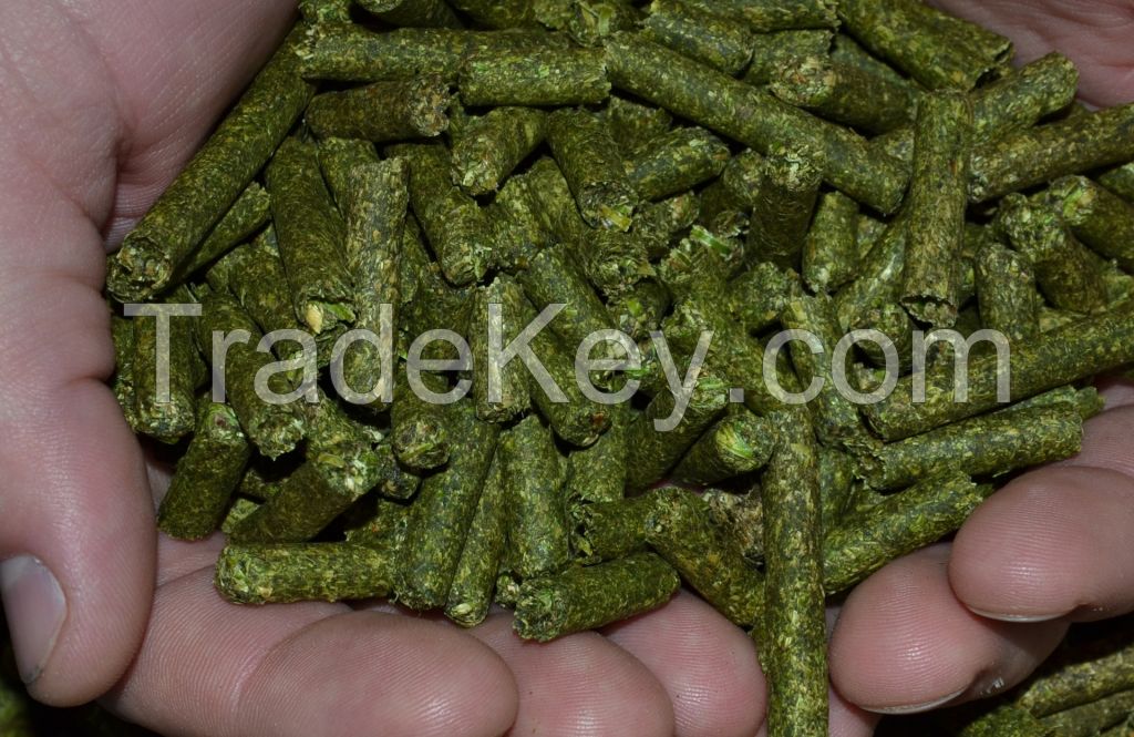 Alfalfa Pellet high nutrients