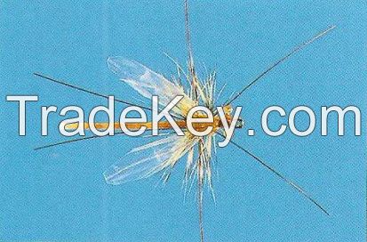 Dry Fishing Flies