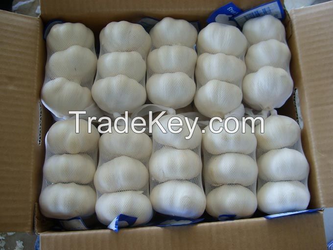  white grade garlic (cold storage)