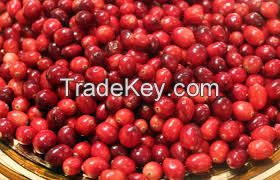 Canadian Cranberry