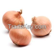 Fresh and High grade Organic Onions
