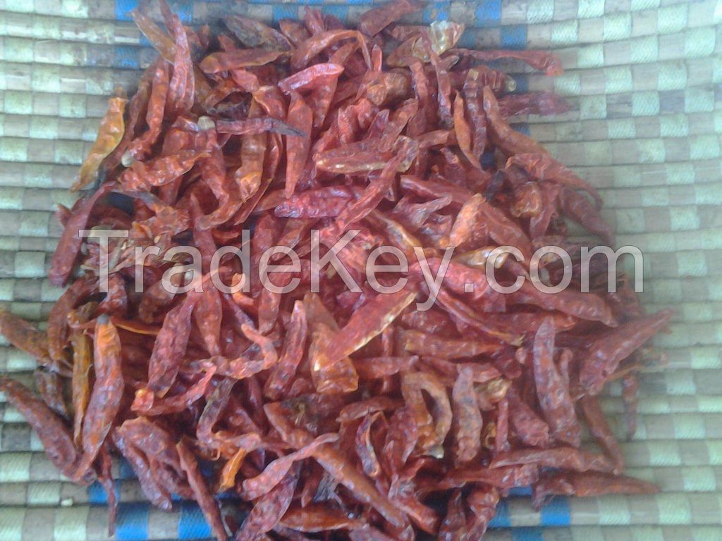 Fresh and Good Quality Organic Red Chilies