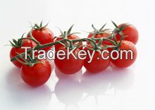 tomato paste in standing pouch 70g