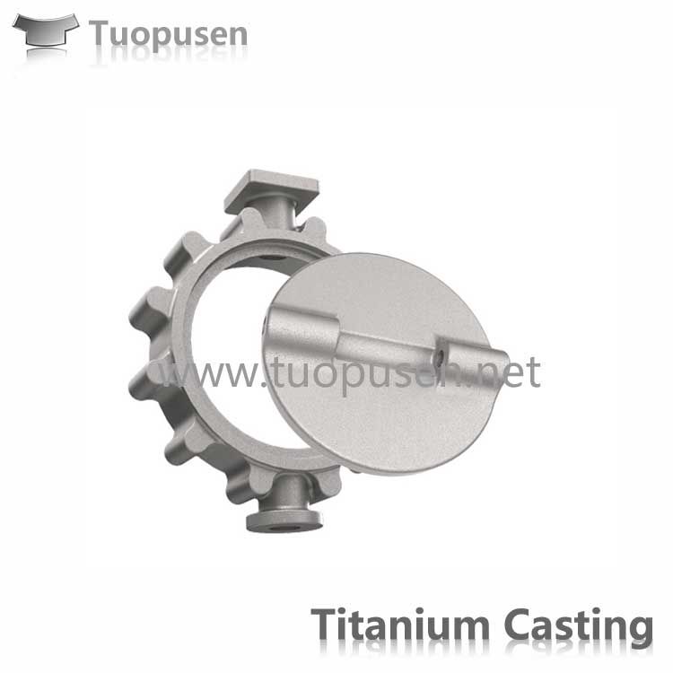 ASTM B367 titanium investment casting valves