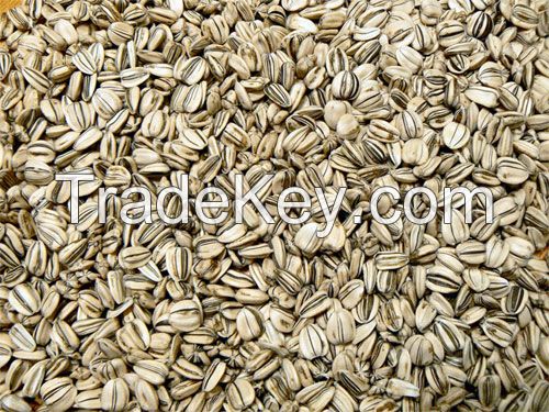 SUNFLOWER SEEDS