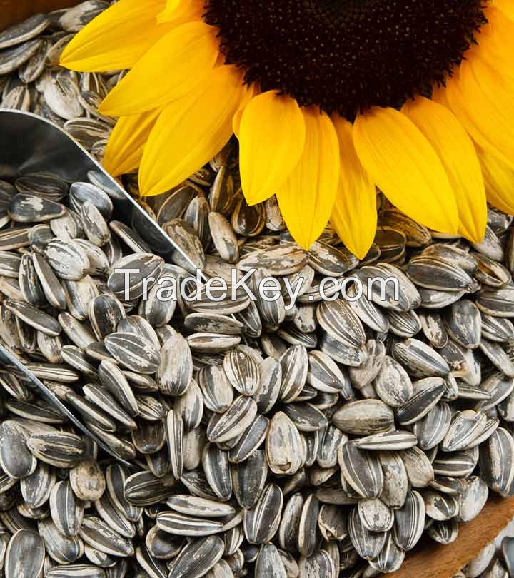 SUNFLOWER SEEDS