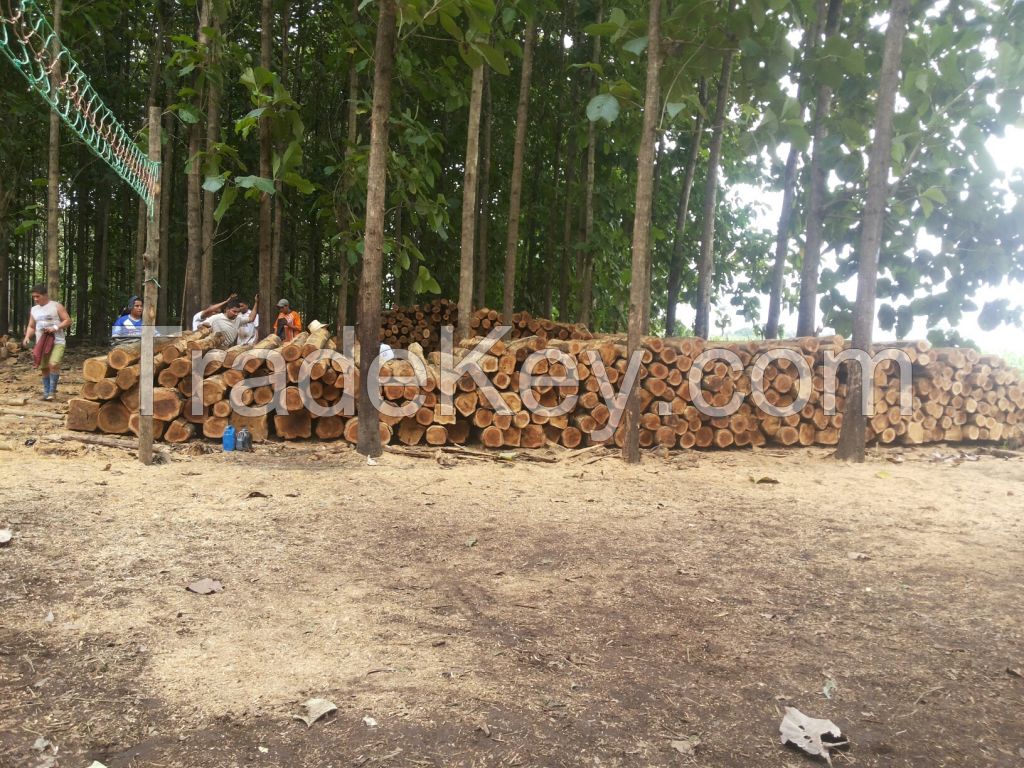 TEAK LOGS