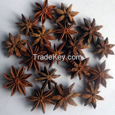 China Dried Cinnamon Pieces- Bay Leaf- Star Anise- Black Pepper-Ginger Grain- Clove- Cardamom