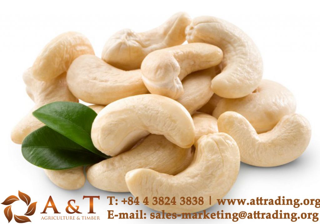   Cashew Nuts Kernels W320 with best price in Vietnam