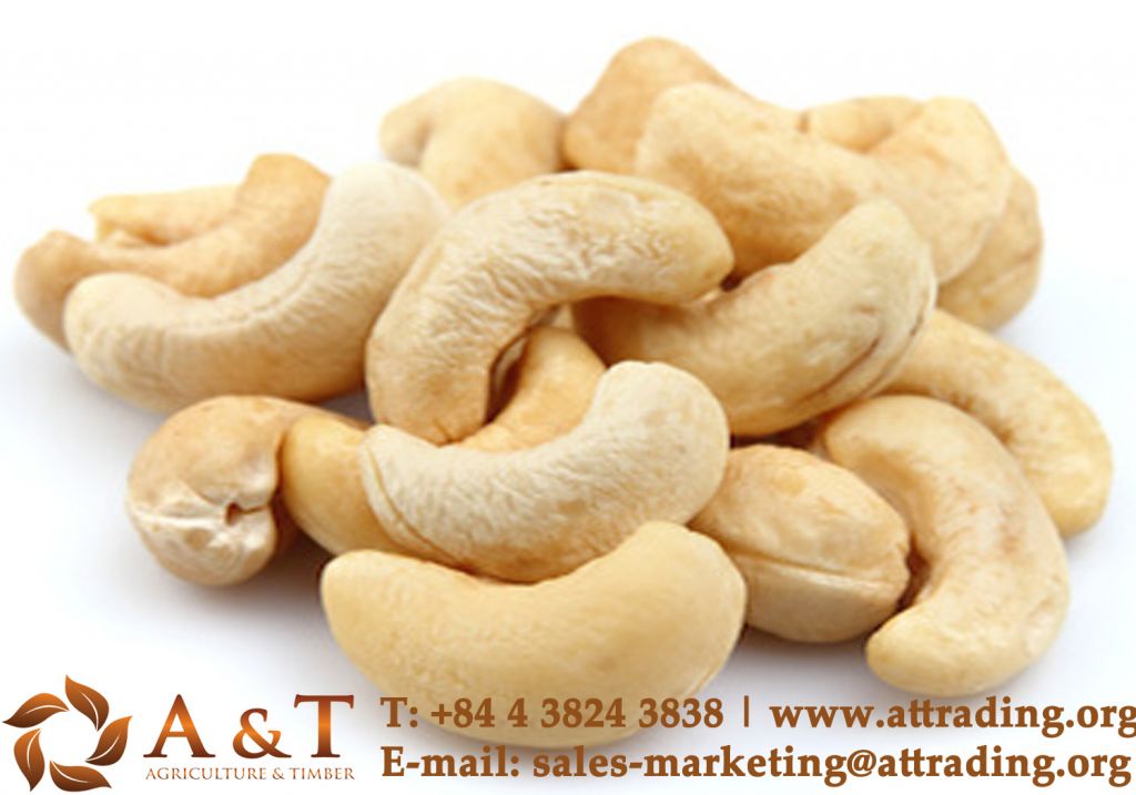 Premium Quality Cashew Nut Kernels W320, W240