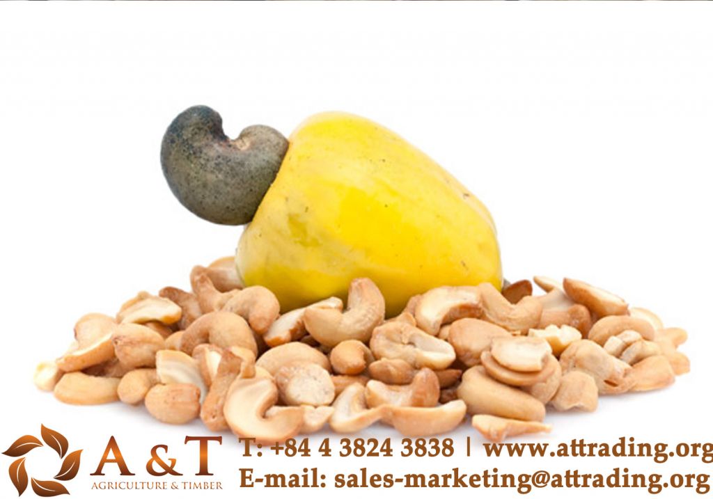 Cashew Nuts Best Offer from Vietnam