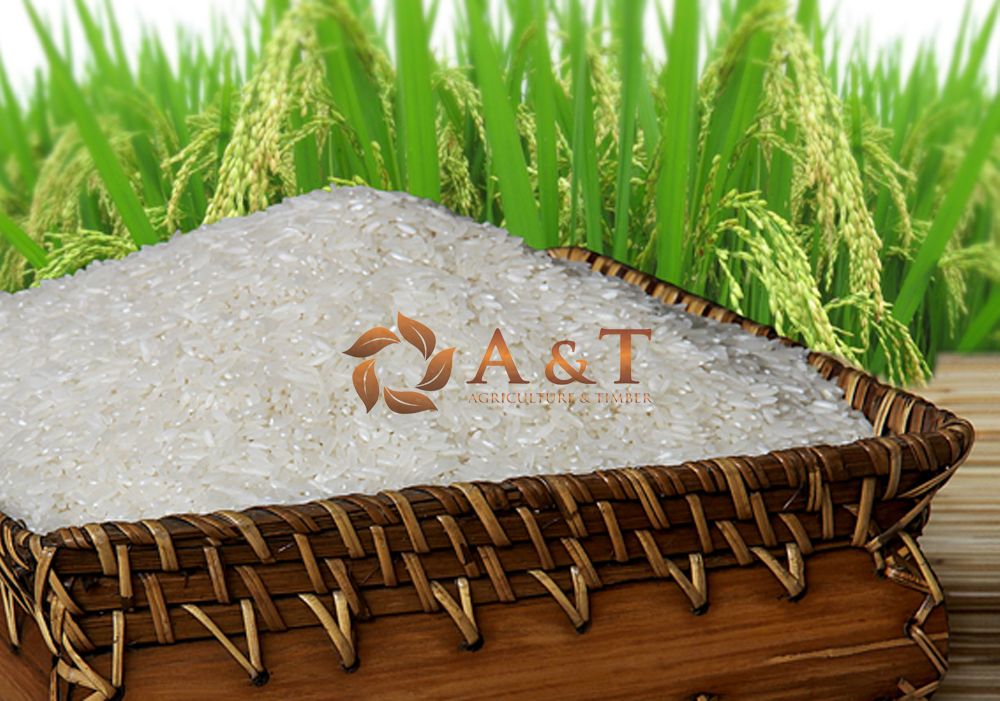 Vietnam Long Grain Rice