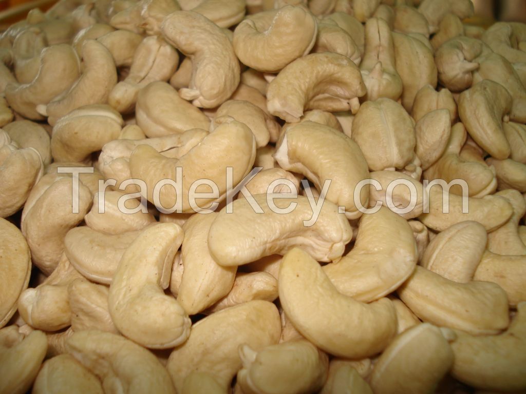   Cashew Nuts Kernels best offer from Vietnam