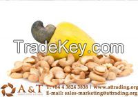   Best Price Cashew Nuts Kernels W240, W320, W450 in Vietnam