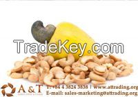   High quality Cashew Nuts Kernels  in Vietnam